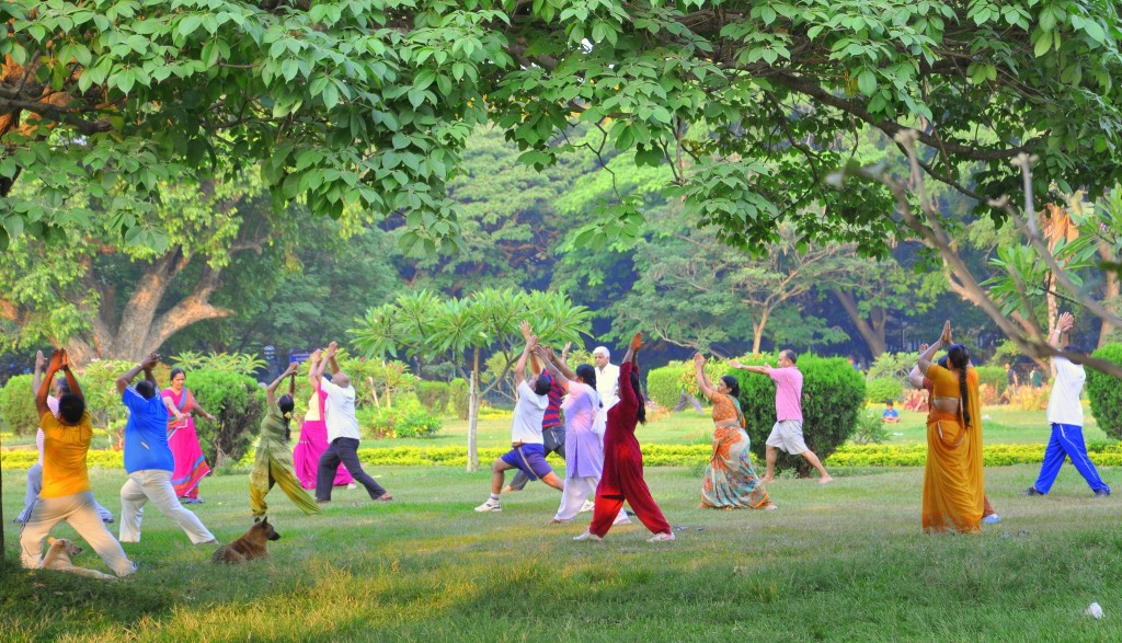 Viajar a Bangalore. Yoga en el Parque Cubbon