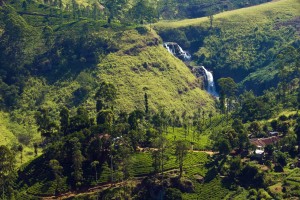 Las plantaciones de té de las Tierras Altas - Kandy, la ciudad más bonita del mundo
