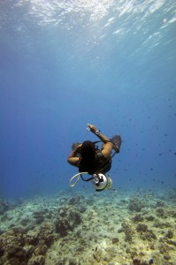 Buceo en el Índico - Buceando en Maldivas