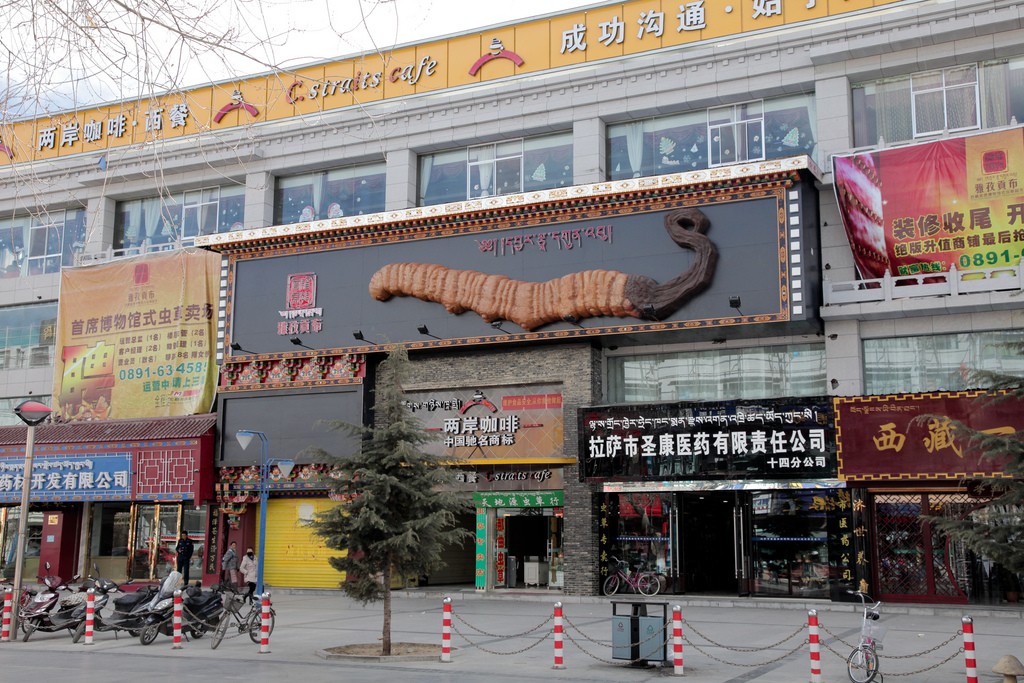 Yarsagumba store en China 