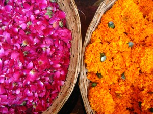 Declararse en India - Flores