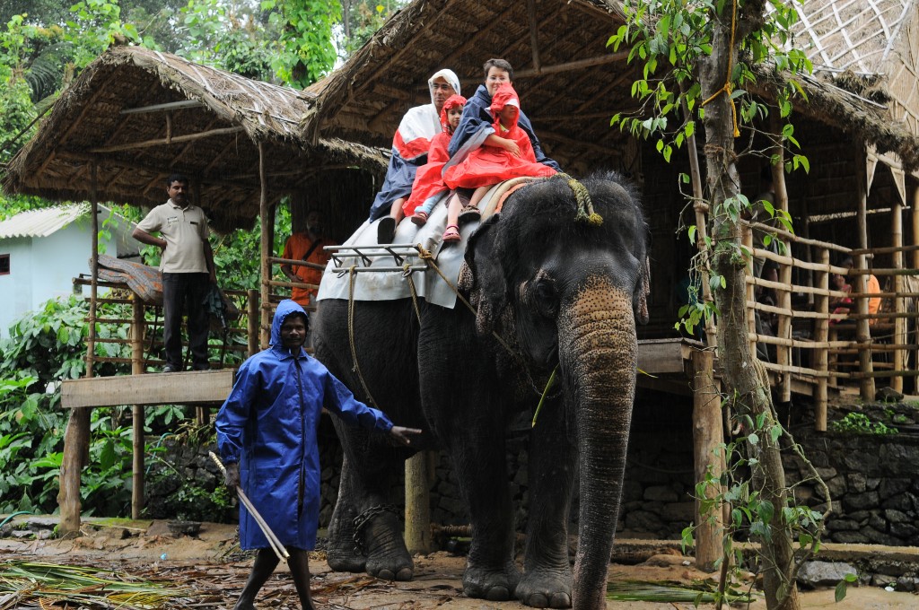 Kerala en familia - Safari en elefante en Idduki