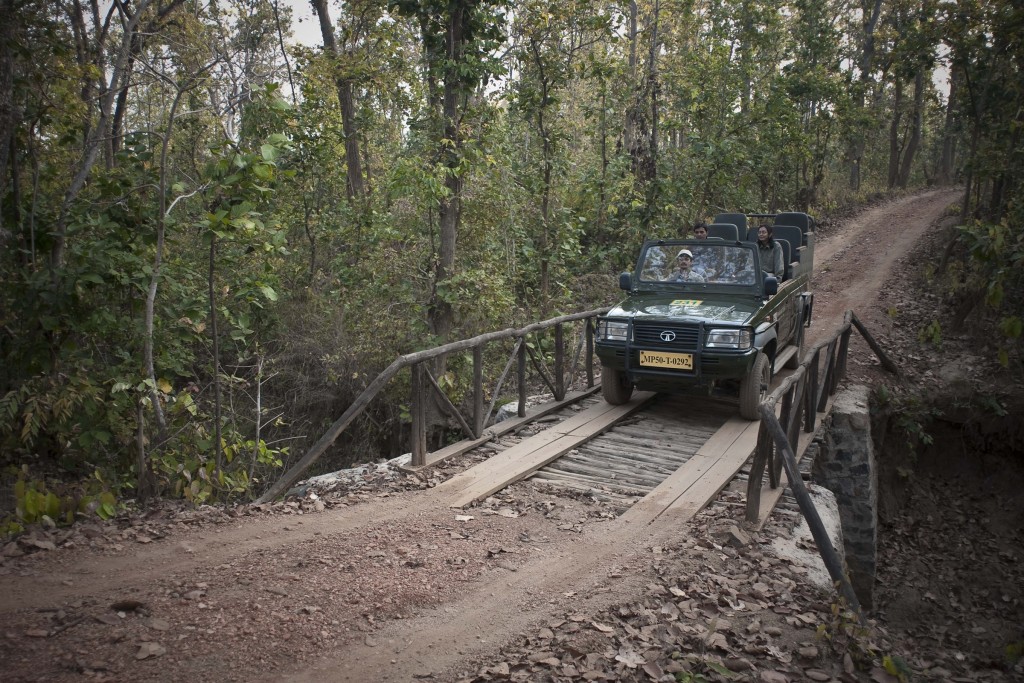 Viaje a la Selva - Safari en Jeep