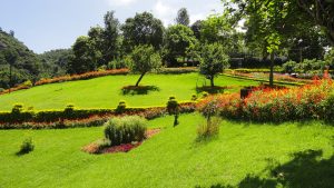 Jardines botánicos de la India - Ooty Garden