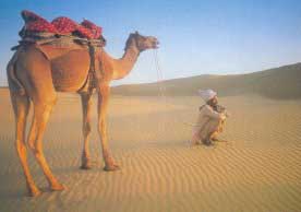 Desierto del Thar