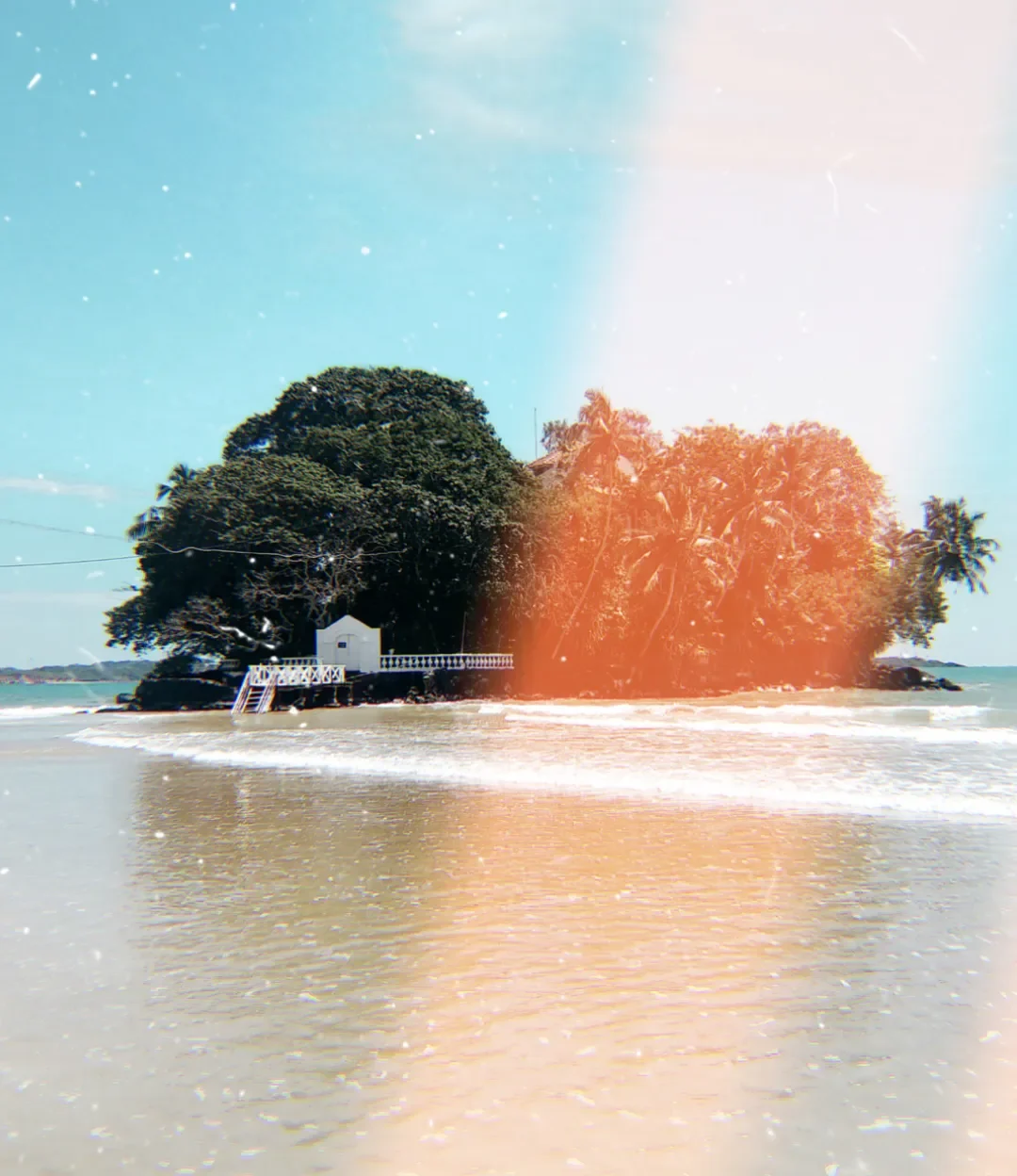 Taprobane Island (Sri Lanka) vintage