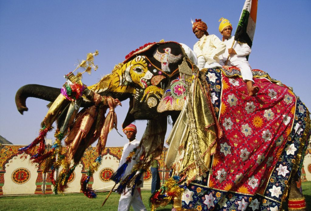 Elephant Jaipur Festival