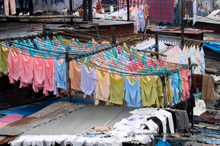 Dhobi Ghat Mumbai