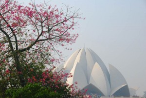 vuelos desde Colombia a India