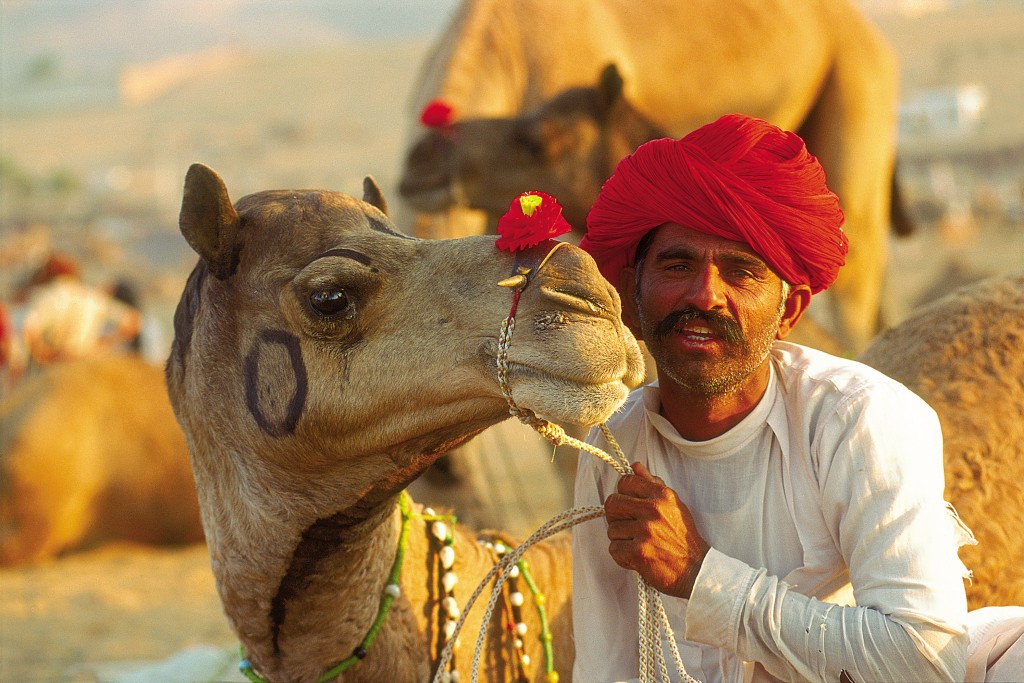 Feria de camellos de Pushkar