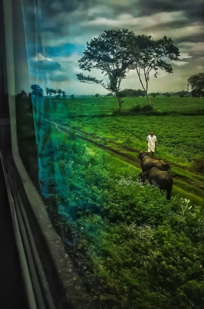 Vista del estado de Andhra Pradesh desde un tren indio.