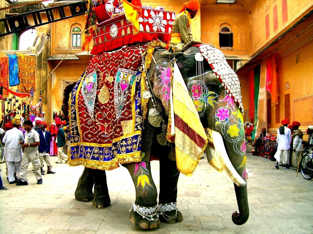 Elefante decorado en Jaipur 