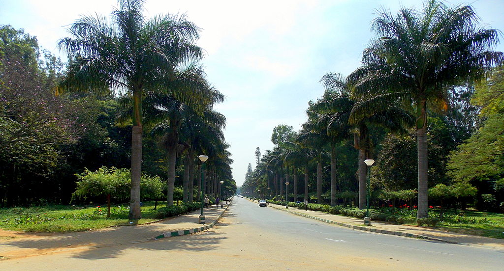 Viajar a Bangalore. Avenida en Parque Cubbon 