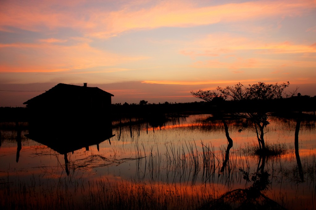 Viajar a Sri Lanka: Kumburumoolai