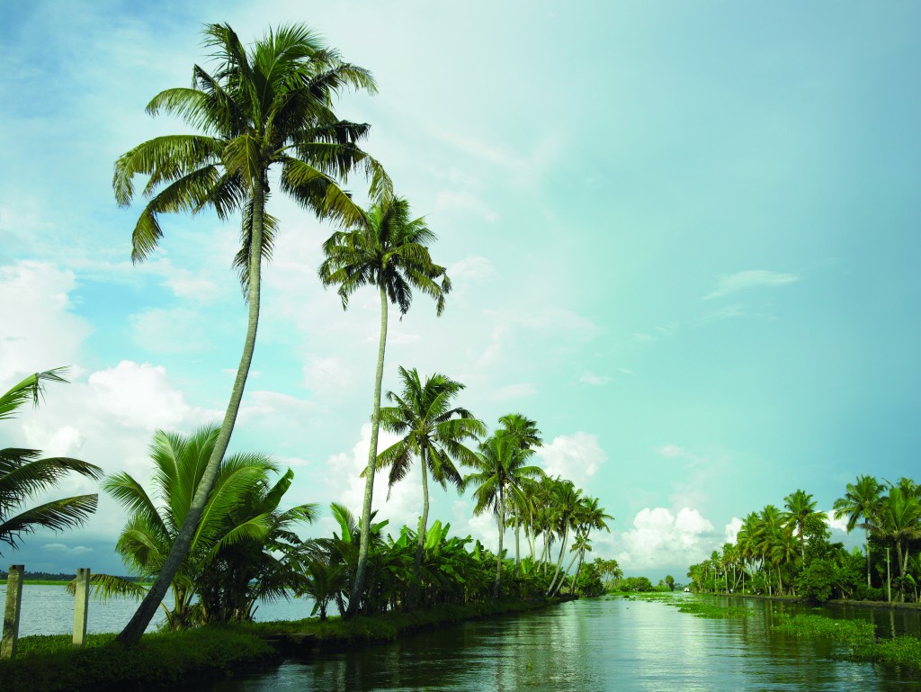 Navegar por las marismas de Kerala en India