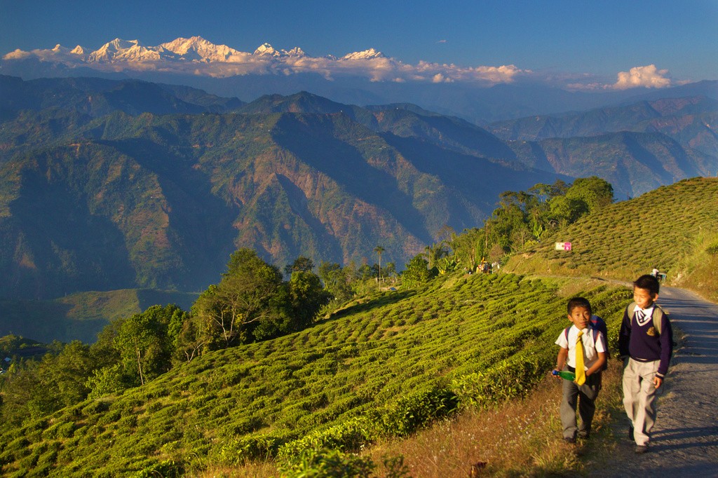 Himalaya indio - Darjeeling