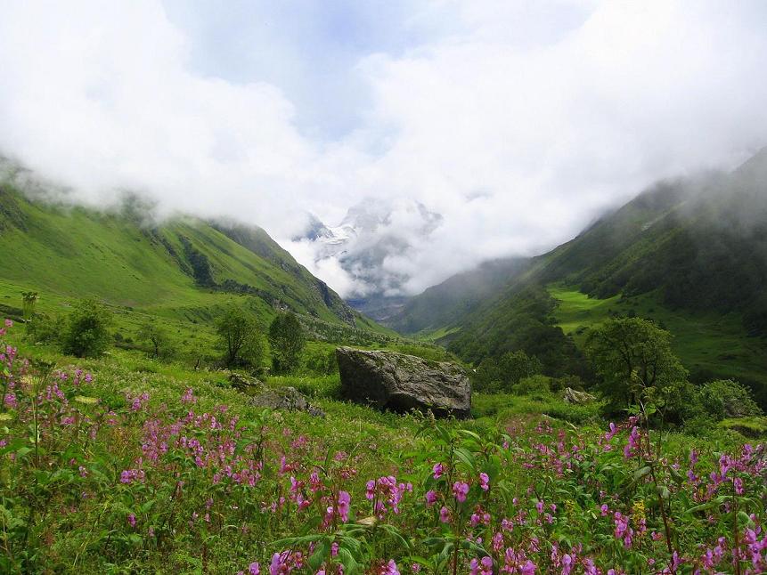 Himalaya indio, Valle de las Flores 