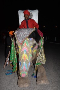 Boda india - Jai Mahal Palace