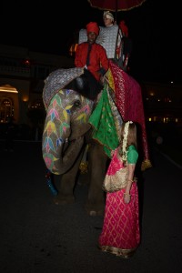 Boda india - Jai Mahal Palace