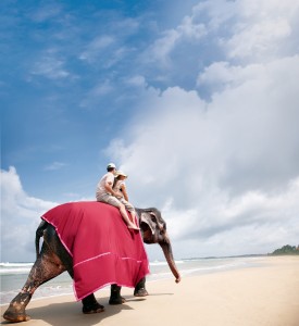 Luna de miel en Sri Lanka