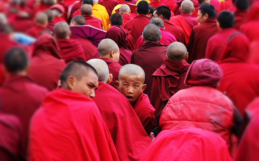 10 razones para visitar Jammu y Cachemira - Monjes budistas 