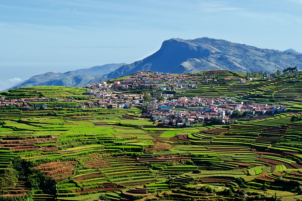 Destinos de verano - Terrazas en Kodaikanal