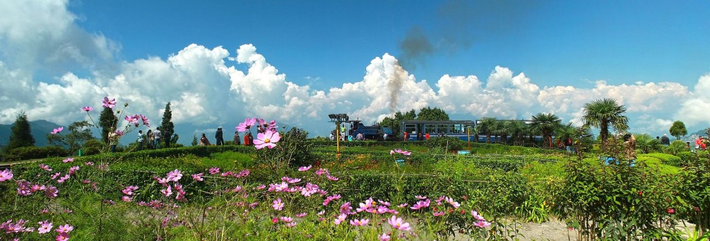 Destinos de verano - Tren del Himalaya en Darjeeling (c) Vikramjit Kakati