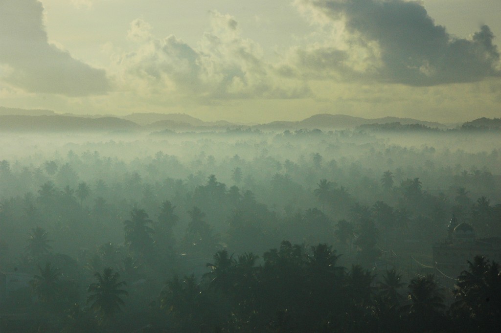 Viaje con encanto - Sri Lanka