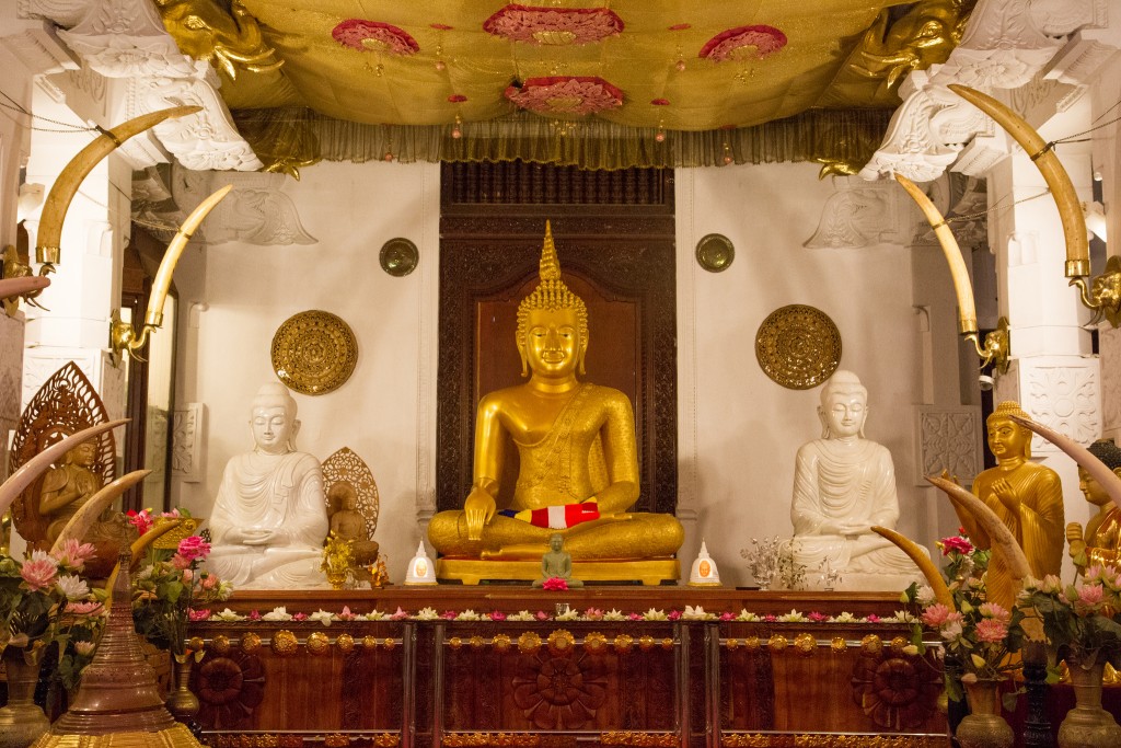 Diente de Buda de Sri Lanka