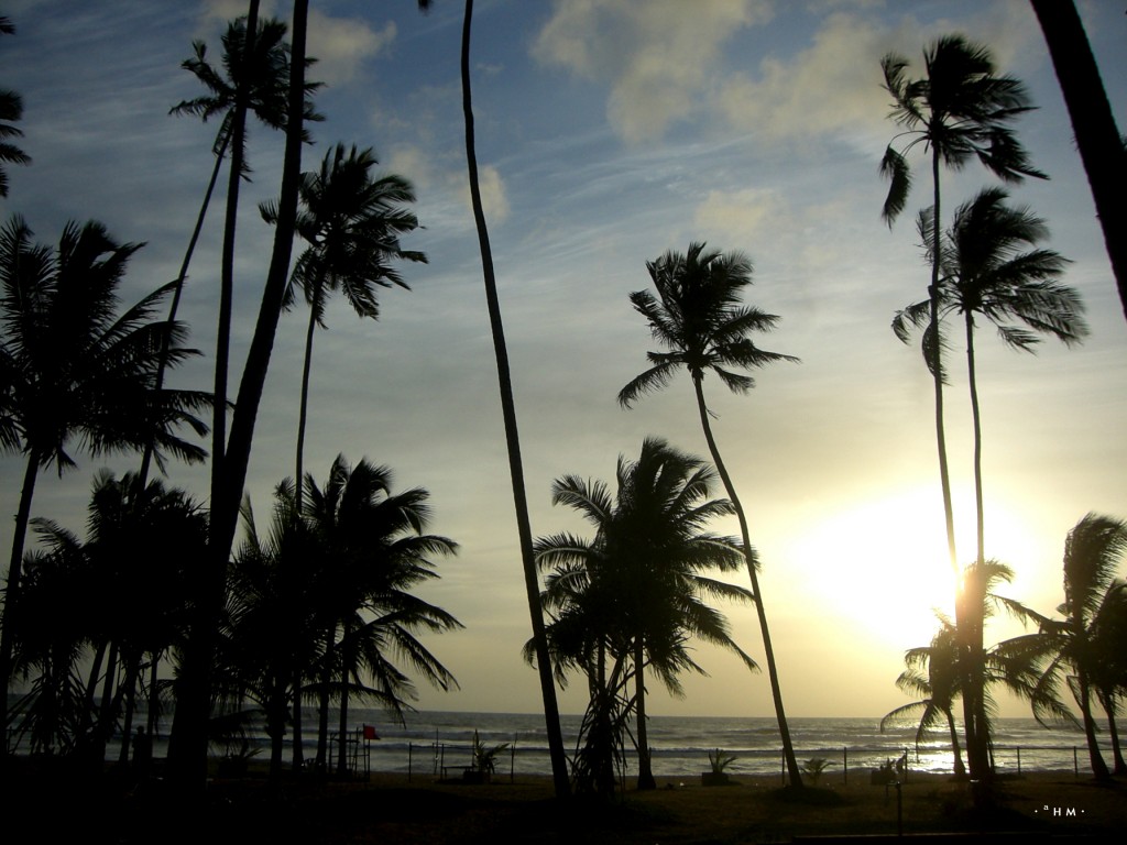 mejor época para viajar a Sri Lanka