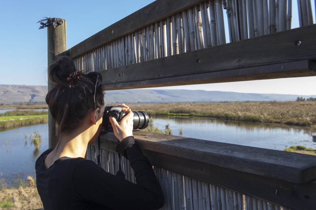 birdwatching en India