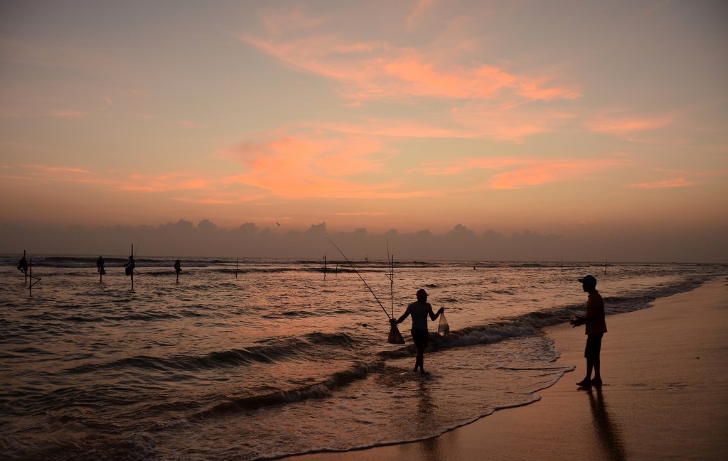 Pescadores zancudos de Sri Lanka