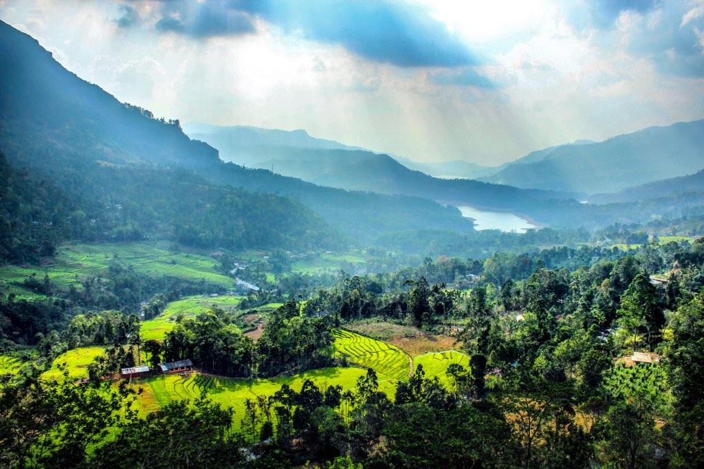 Plantaciones de té de Nuwara Eliya