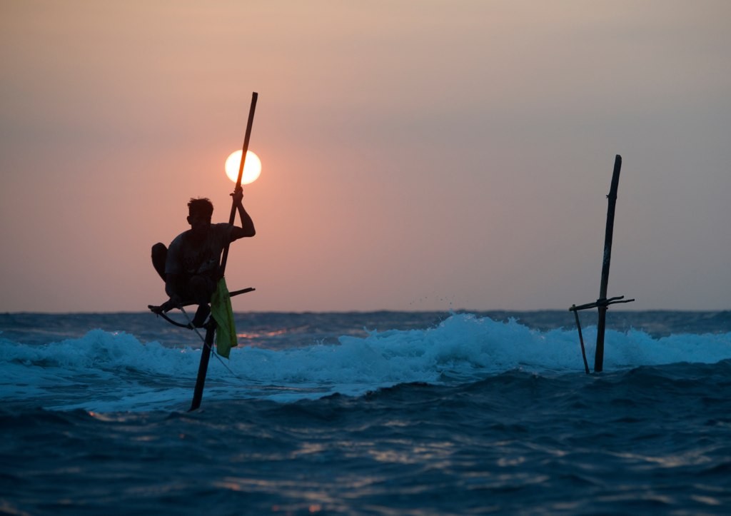 Pescadores zancudos de Sri Lanka