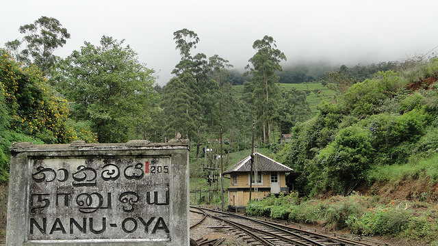En tren por Sri Lanka - Estación de Nanu Oya