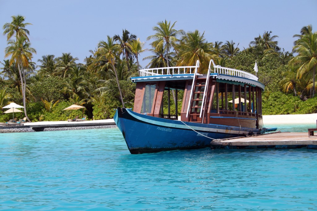 Pez volador de Maldivas