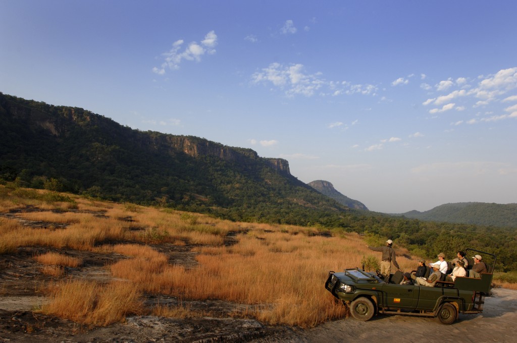 Safari con niños - Bandavgarh