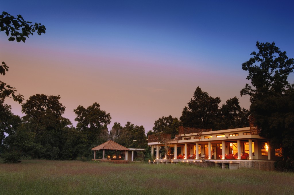 Tigre de Bengala - Hotel Bandavgarh