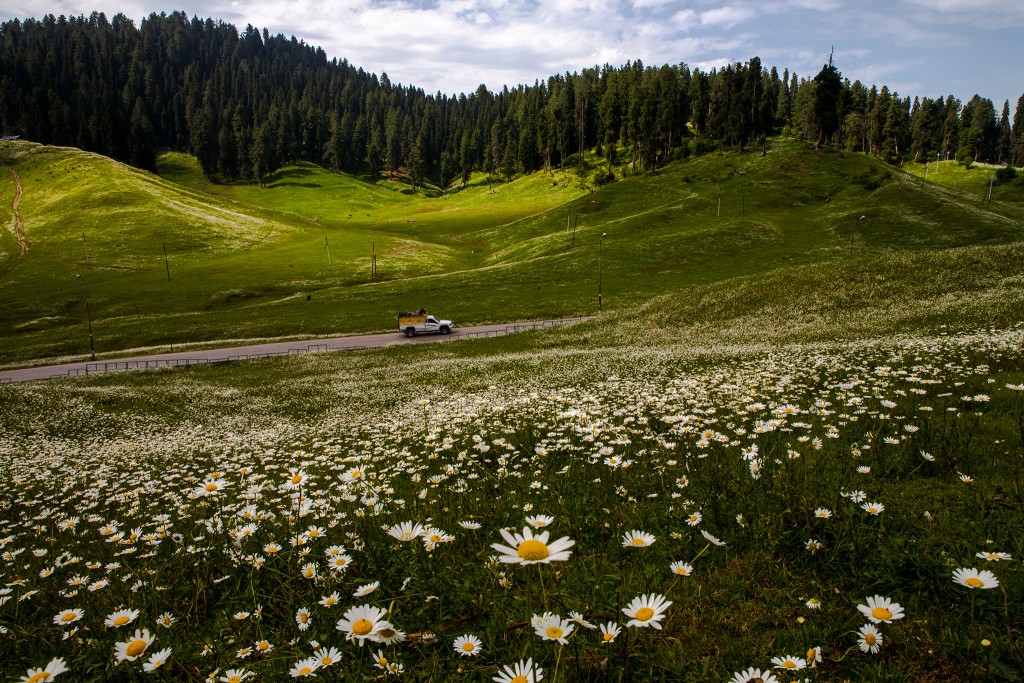 Ecoturismo en la India - Valley of the Flowers 