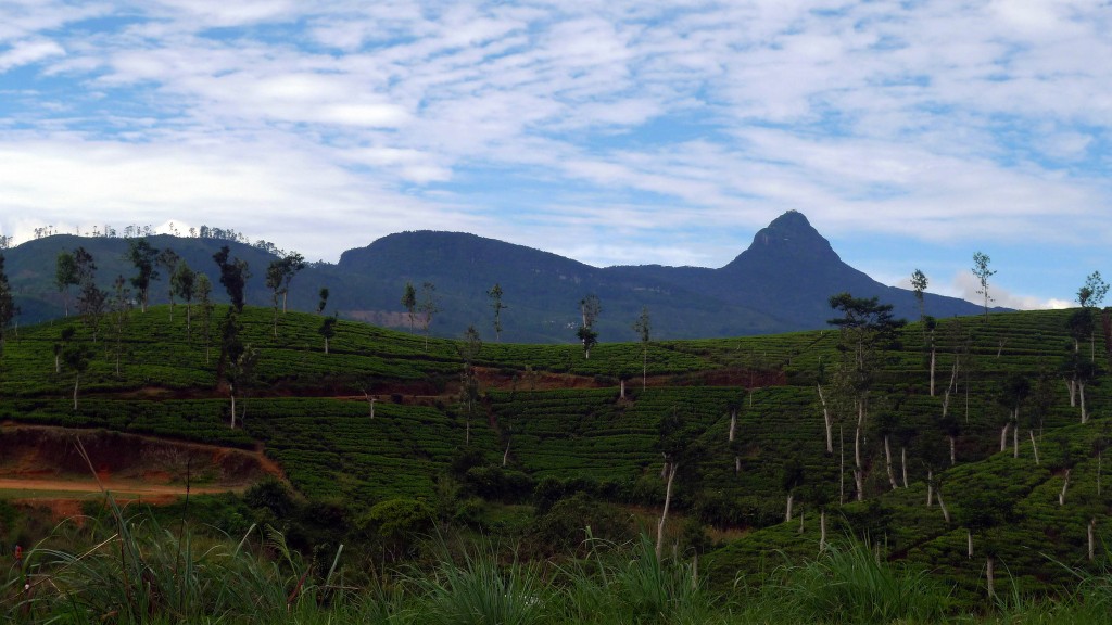 Viajar a Sri Lanka en Semana Santa. Pico de Adán