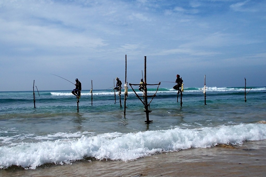 Viajar a Sri Lanka en verano. Pesca de zancos