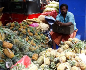 Mercados tradicionales de Colombo y Kandy