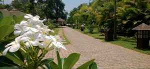 Hoteles ecológicos en India - Carnoustie Ayurveda _ Wellness Resort PORTADA