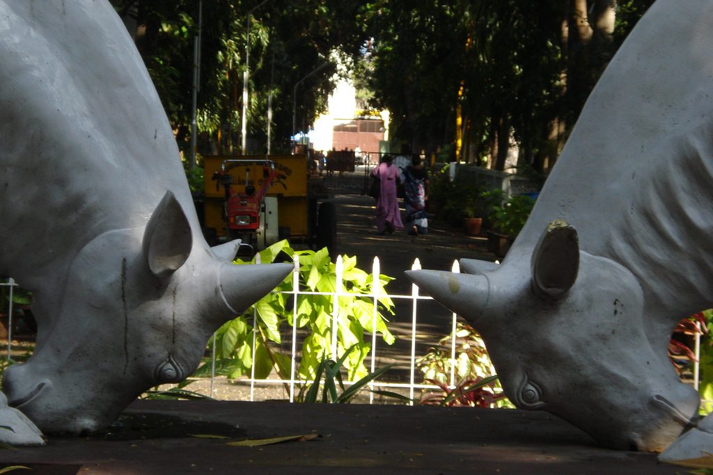 Jardines botánicos de la India, Pondicherry (c) markymark5