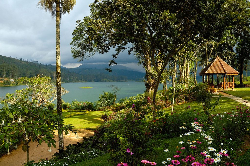 Malaria en Sri Lanka, Ceylon Tea Trails