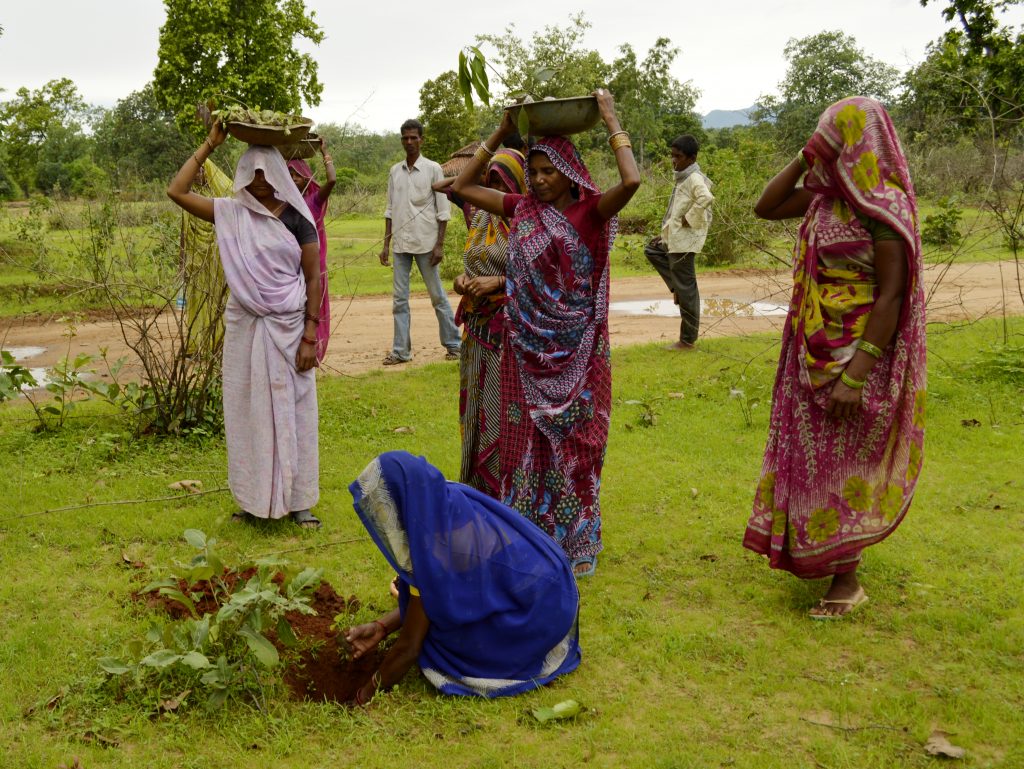 Récords de la India