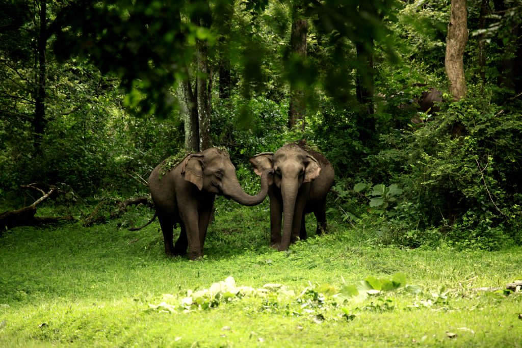 Parques naturales de Kerala