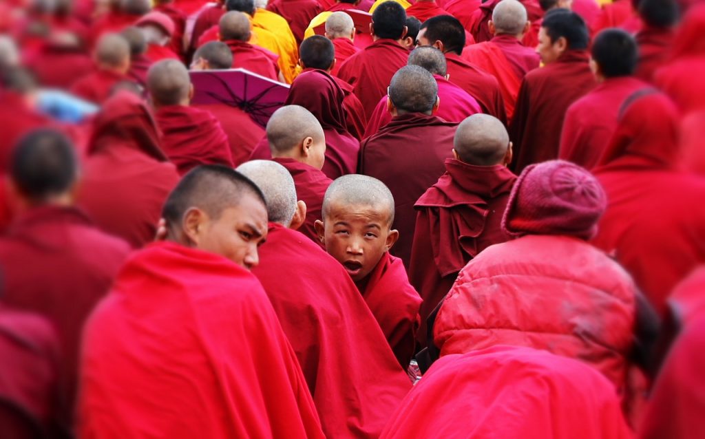 Qué hacer en Dharamsala