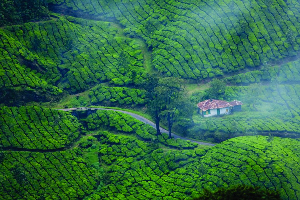 7 pueblos con encanto en India del sur y Kerala