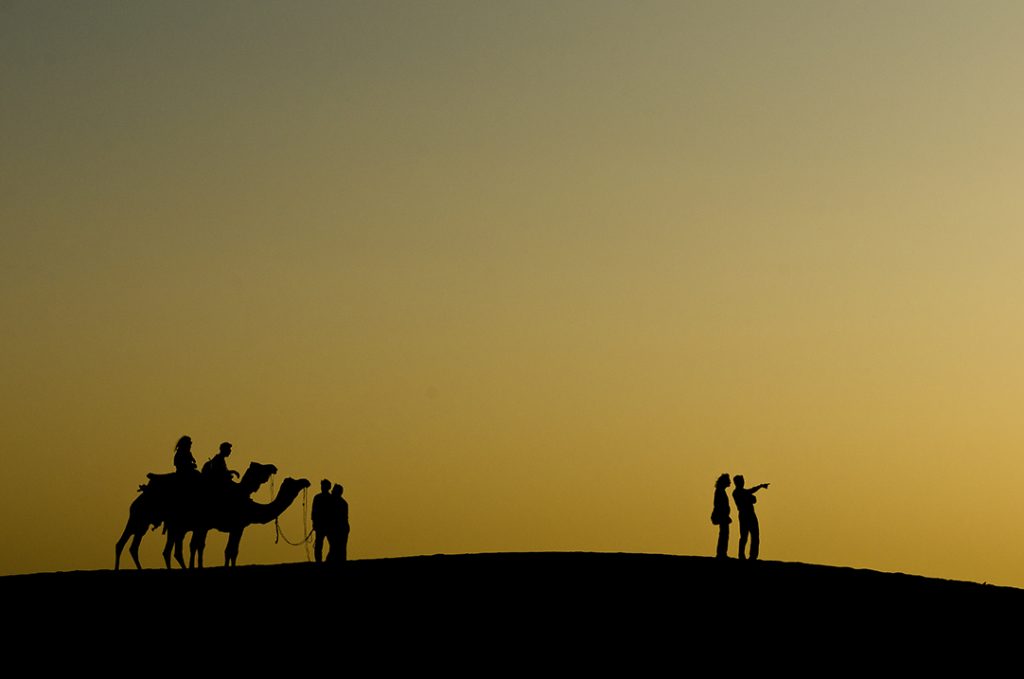 Ver Tigres de Bengala - Jaisalmer 